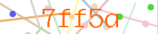 Verificador