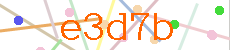 Verificador