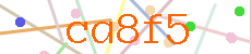 Verificador