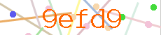 Verificador
