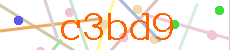 Verificador