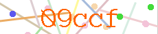 Verificador