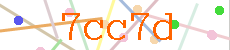 Verificador