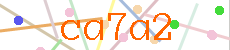 Verificador
