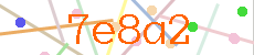Verificador