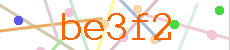 Verificador