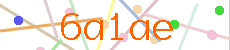 Verificador