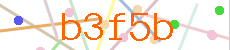 Verificador