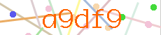 Verificador