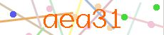 Verificador