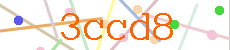 Verificador
