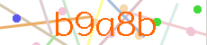 Verificador