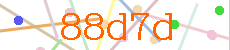 Verificador