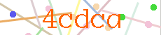 Verificador