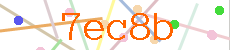 Verificador