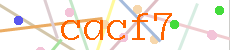 Verificador