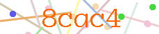 Verificador
