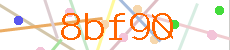 Verificador