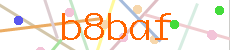 Verificador
