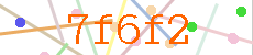 Verificador
