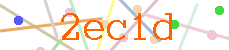 Verificador