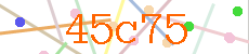 Verificador