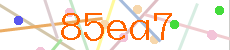 Verificador