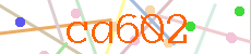 Verificador