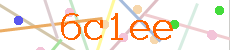 Verificador