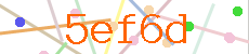 Verificador