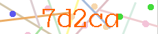 Verificador