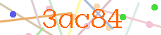 Verificador