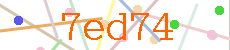 Verificador