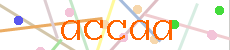 Verificador