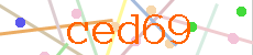Verificador