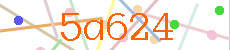 Verificador