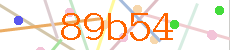 Verificador