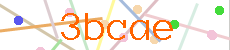 Verificador