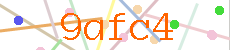 Verificador