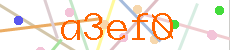 Verificador