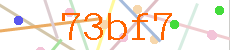 Verificador