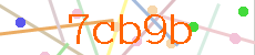 Verificador