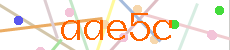 Verificador