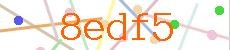 Verificador