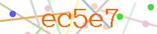 Verificador