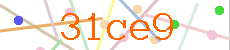Verificador