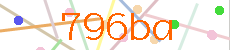 Verificador