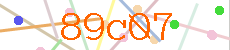 Verificador
