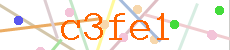 Verificador
