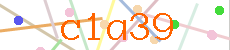Verificador
